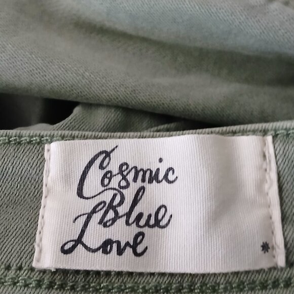 Cosmic Blue Love Pants Size 27 Sage Green Brooks Cargo Skinny Ankle Crop Stretch - Picture 7 of 9